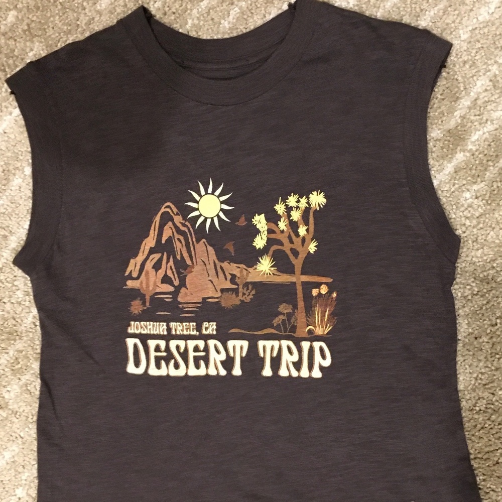 Free People Desert Trip Cropped Tee XS